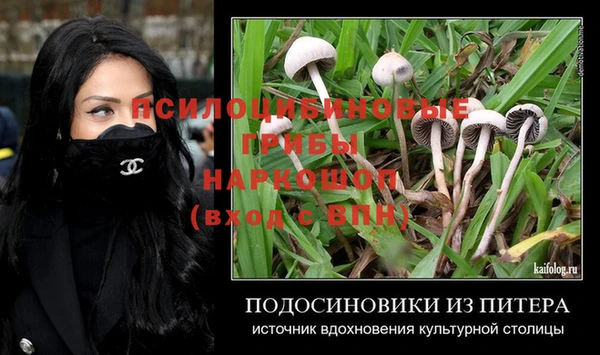 гашик Алексеевка