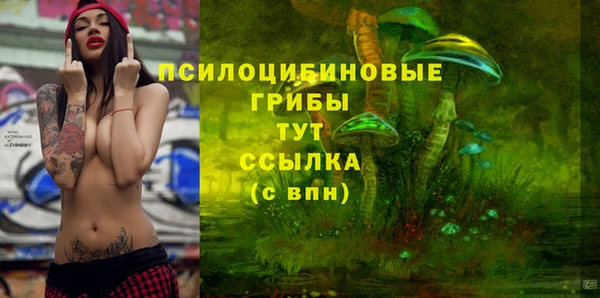 гашик Алексеевка